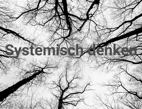 Systemisch denken