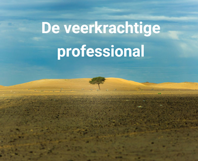 de veerkrachtige professional