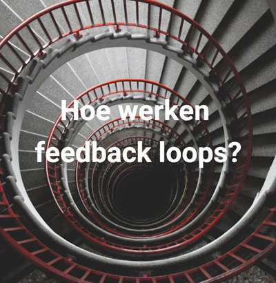 feedback loops