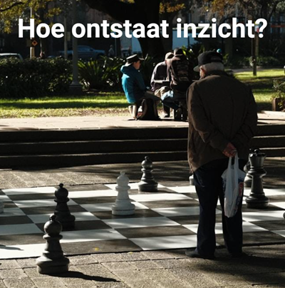 inzicht