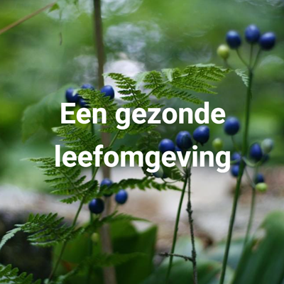 leefomgeving