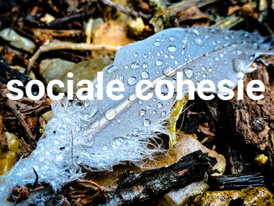 sociale cohesie